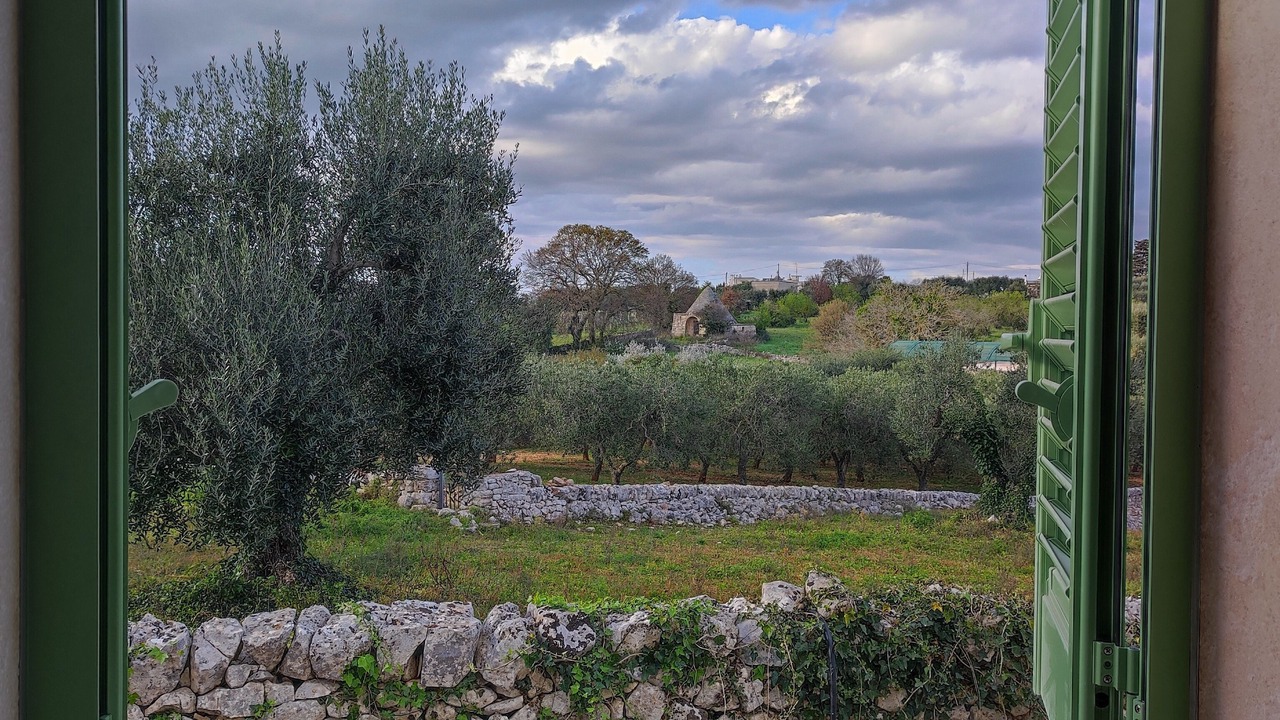 Photo of Others in Cisternino
