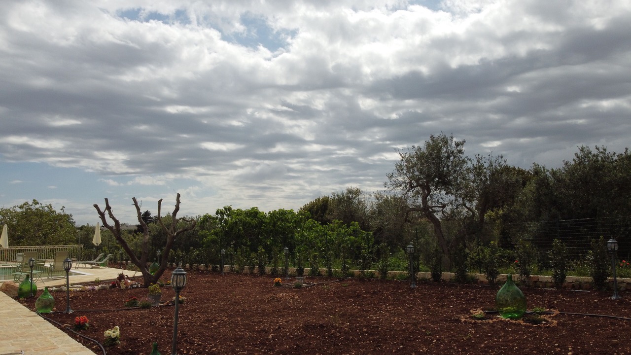 Photo of Outdoor in Cisternino