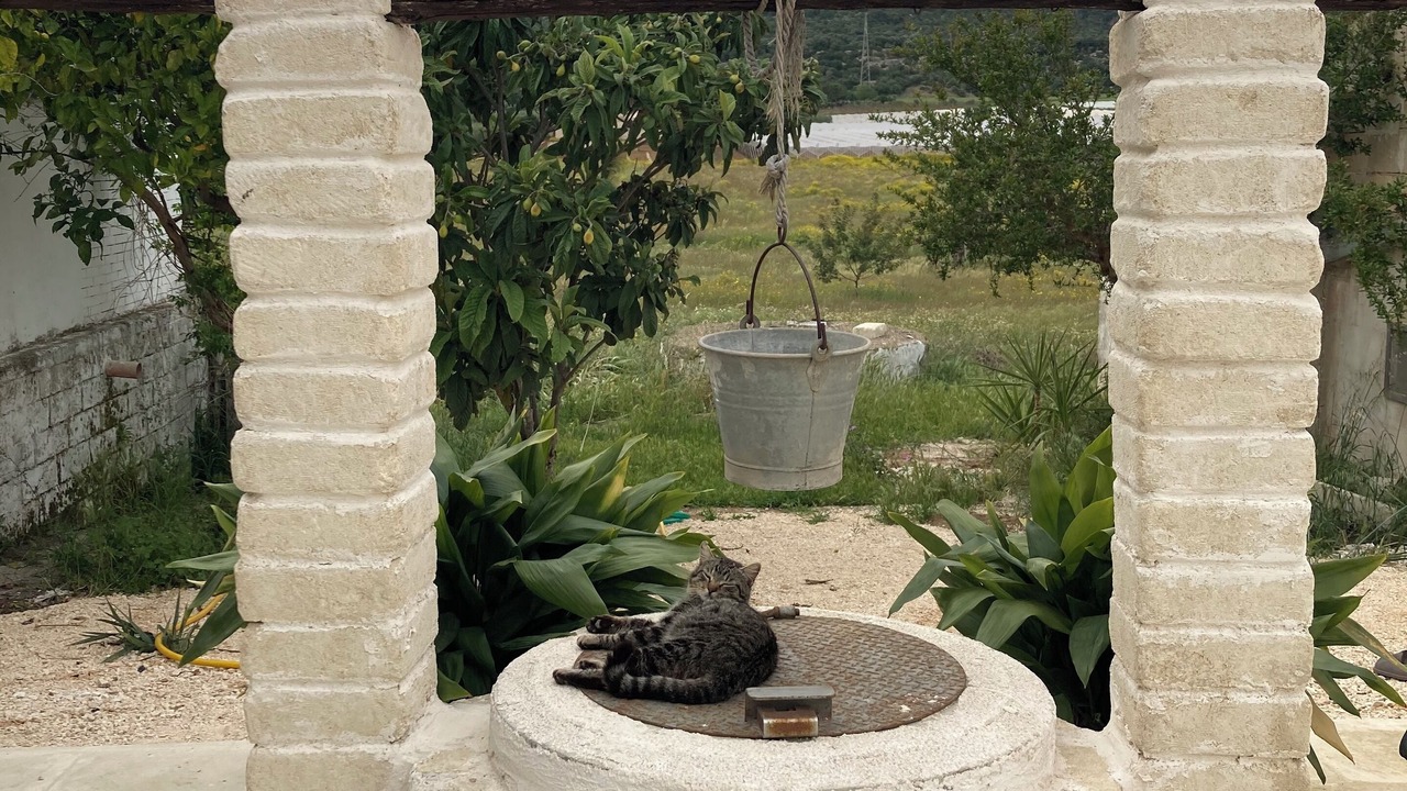 Photo of Outdoor in Castellaneta