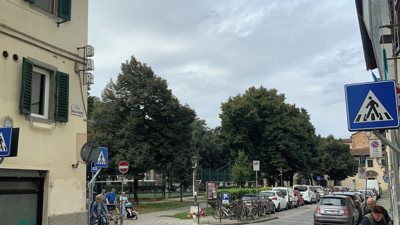 Photo of Others in San Frediano