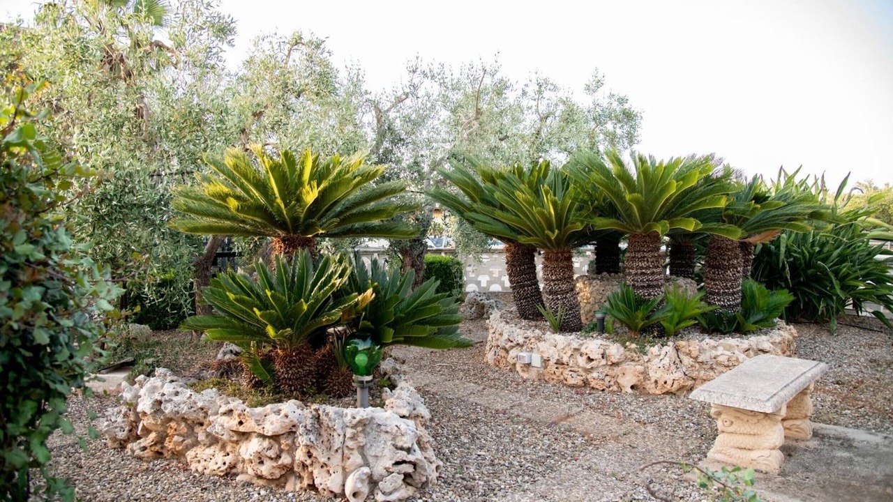 Photo of Outdoor in Sant'Antonio D'ascula
