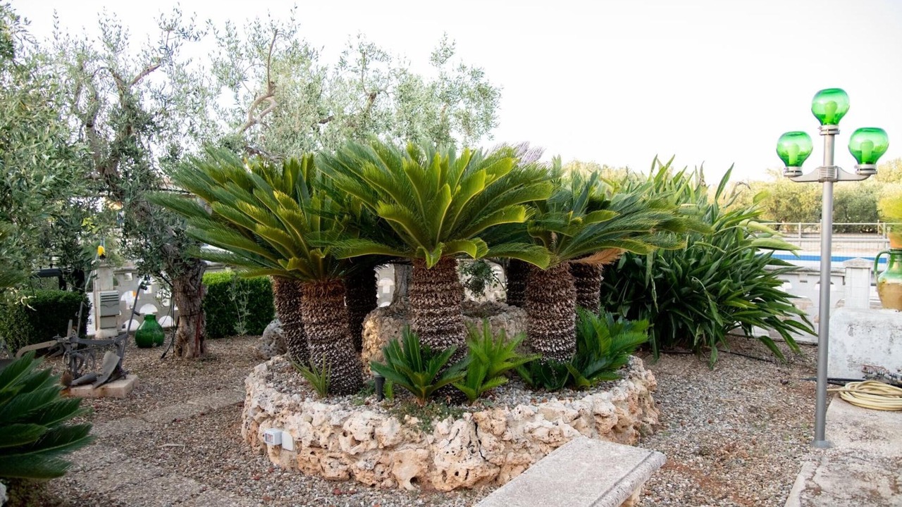 Photo of Outdoor in Sant'Antonio D'ascula