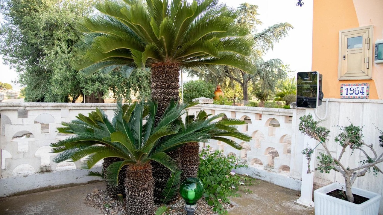 Photo of Outdoor in Sant'Antonio D'ascula