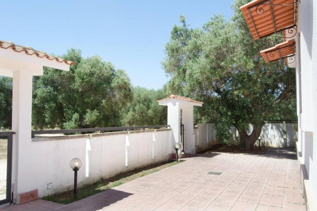 Photo of Others in Torre Colimena