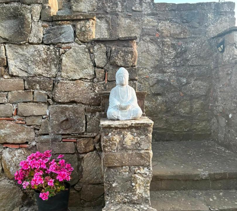 Photo of Others in San Mauro Cilento