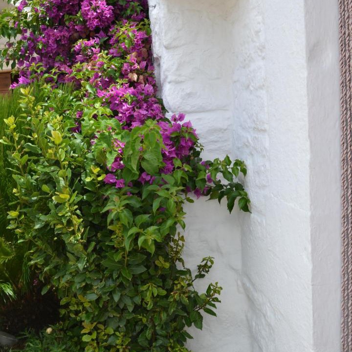 Photo of Others in The Trulli of Alberobello