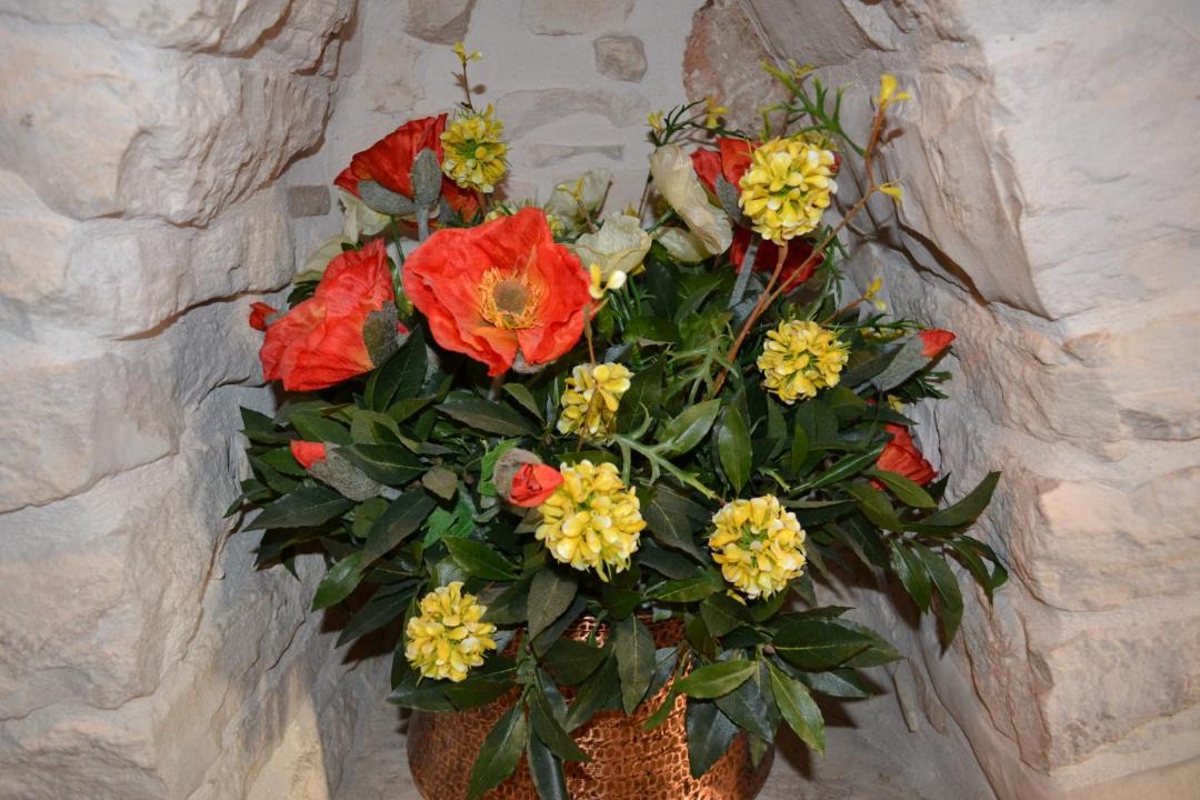 Photo of Others in The Trulli of Alberobello