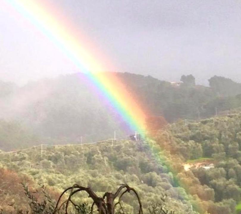 Photo of Others in Peschici