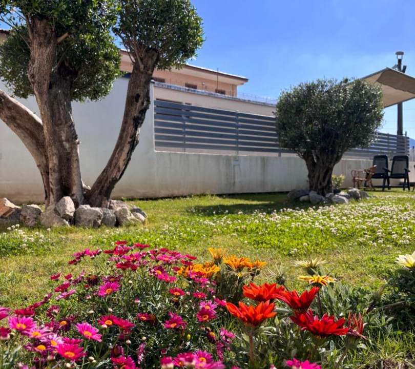 Photo of Others in Sant'Antonio Abate