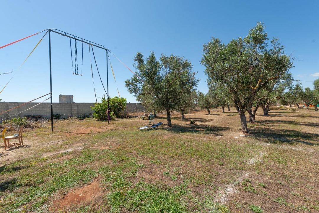 Photo of Others in Giorgilorio