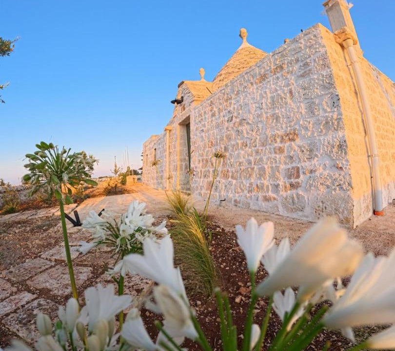 Photo of Others in Martina Franca
