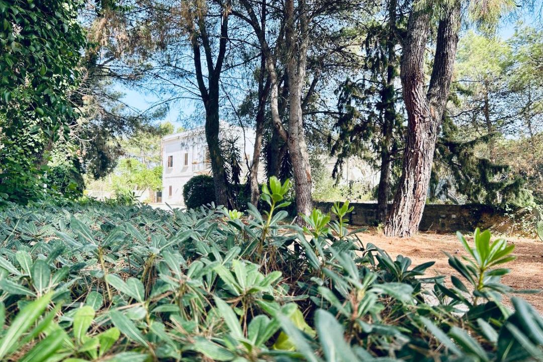 Photo of Others in Novoli