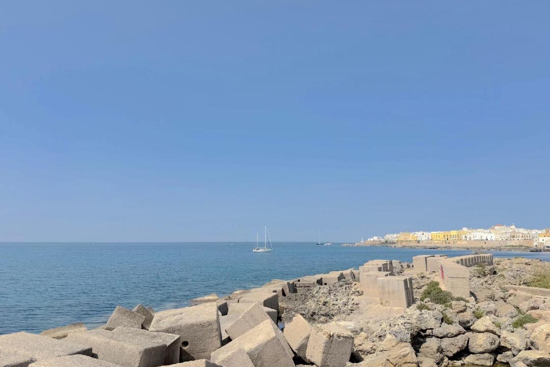 Photo of Others in Gallipoli