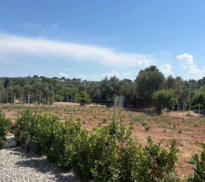 Photo of Others in Ceglie Messapica