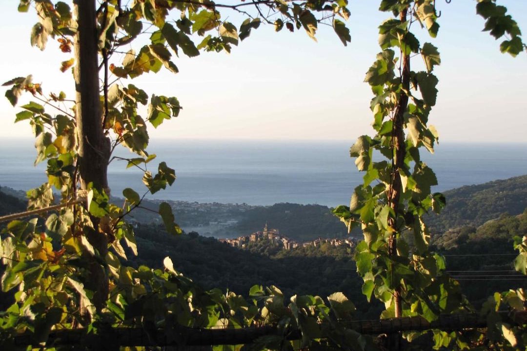 Photo of Others in Vibonati
