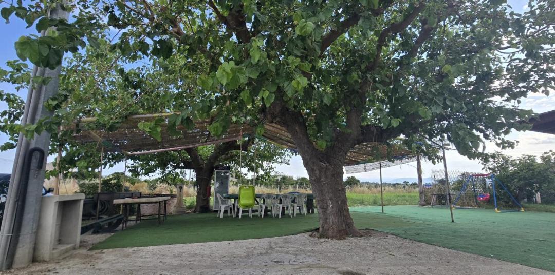 Photo of Outdoor in Scanzano Jonico
