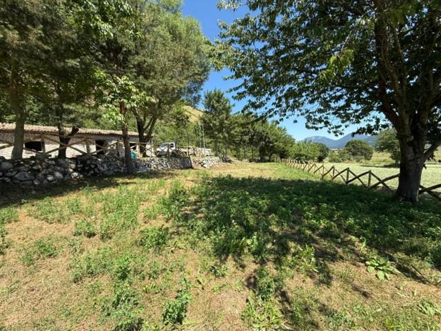 Photo of Others in San Gregorio Matese