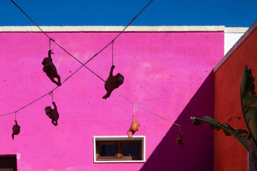 Photo of Others in Ostuni