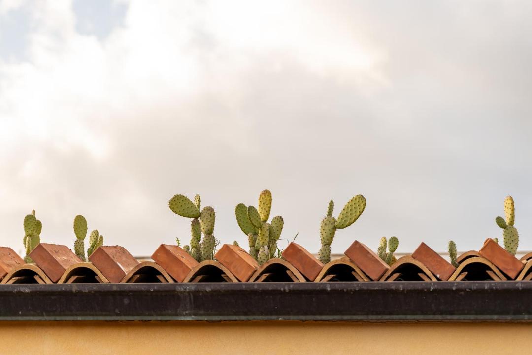 Photo of Others in Portopalo di Capo Passero