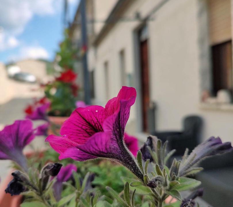 Photo of Others in Pietrapertosa