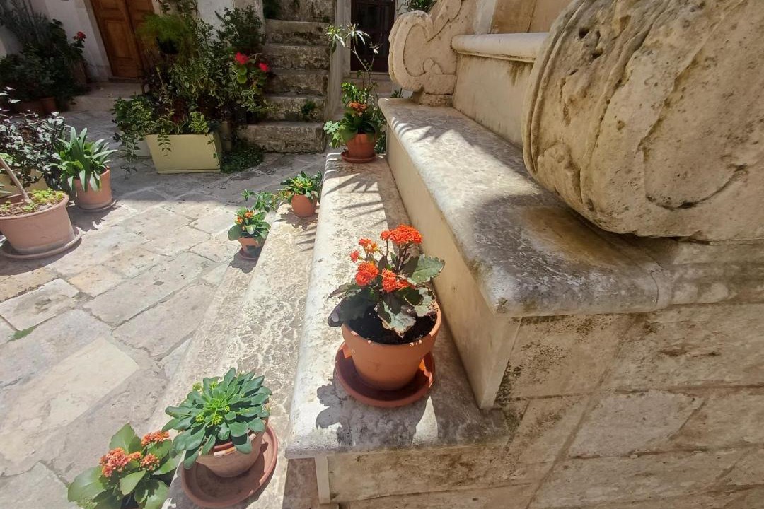 Photo of Others in Centro Storico