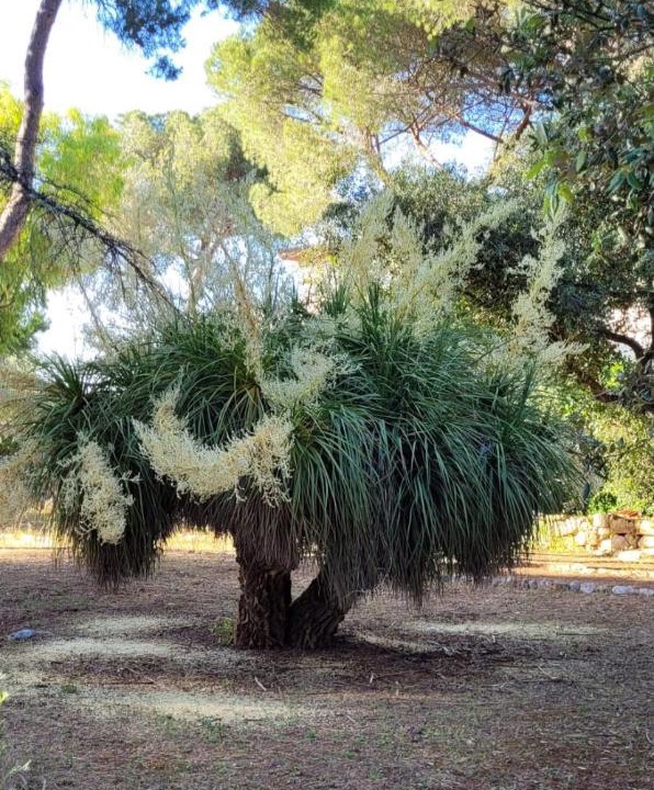 Photo of Outdoor in Nardo