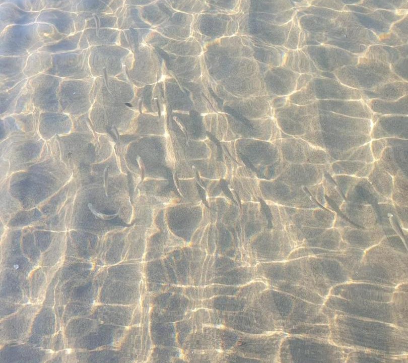 Photo of Others in Paestum