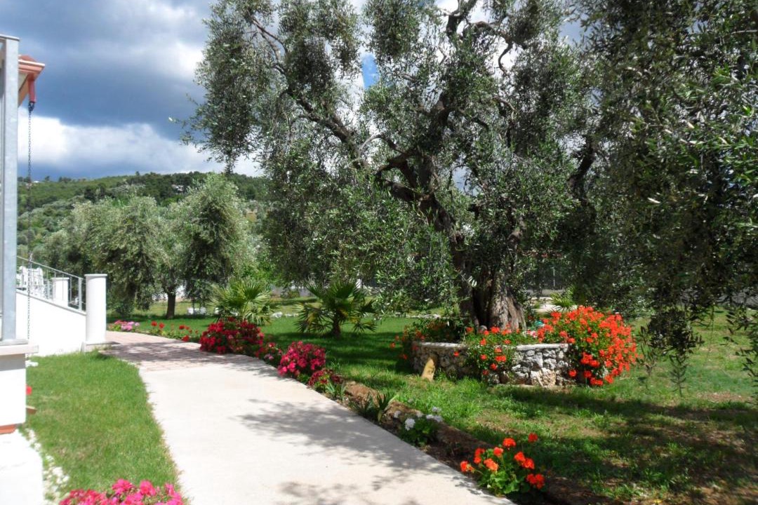 Photo of Others in Peschici