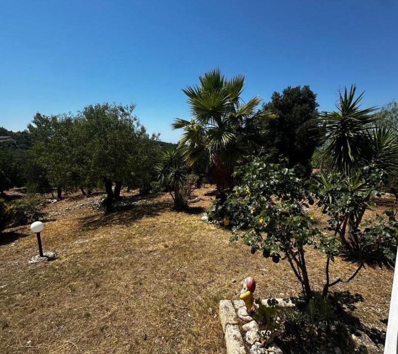 Photo of Others in Peschici