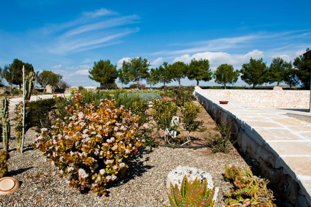 Photo of Others in Palagianello