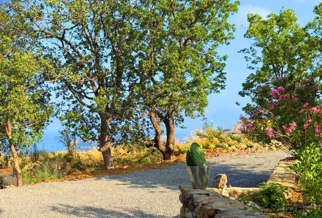 Photo of Others in San Nicola Arcella