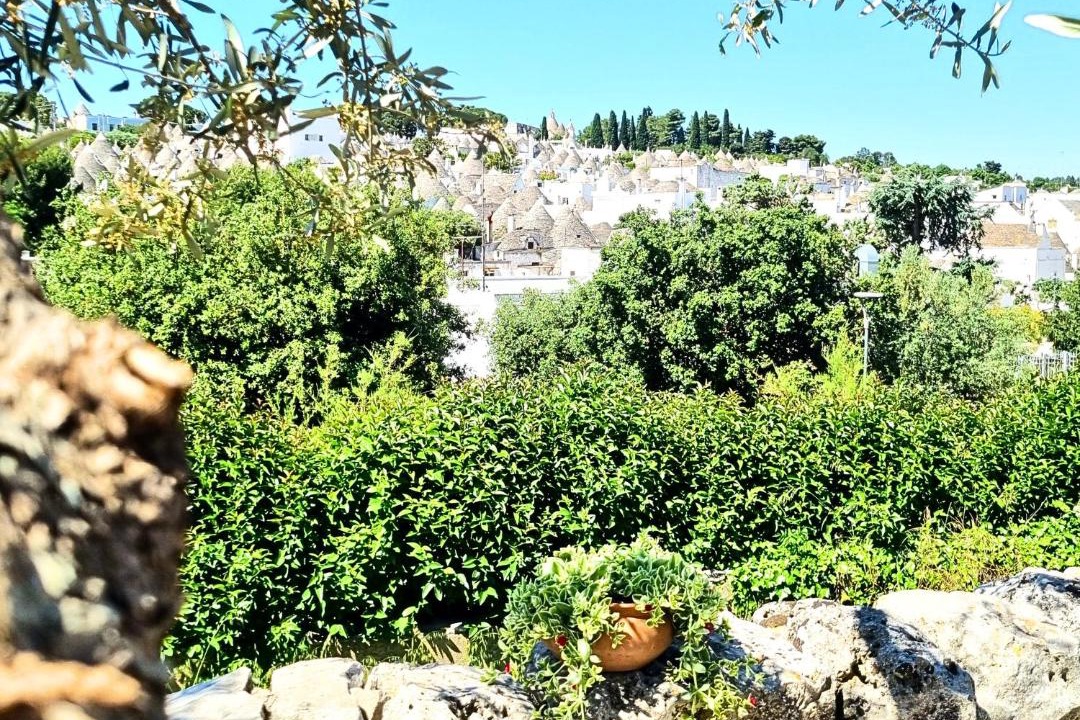 Photo of Others in The Trulli of Alberobello