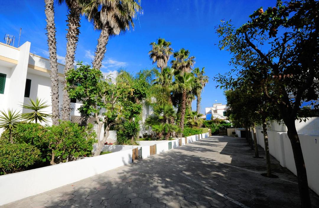 Photo of Others in Baia Verde
