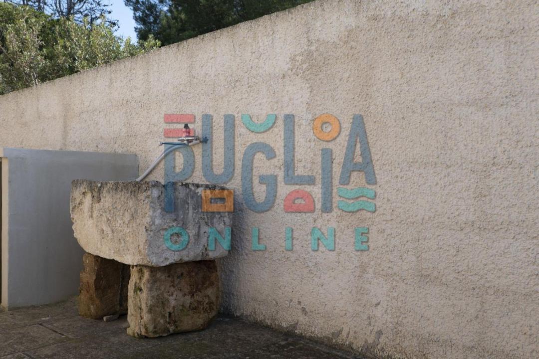 Photo of Others in Capilungo