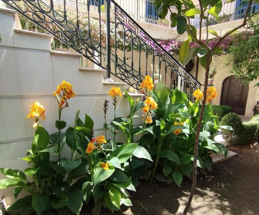 Photo of Others in Canosa di Puglia