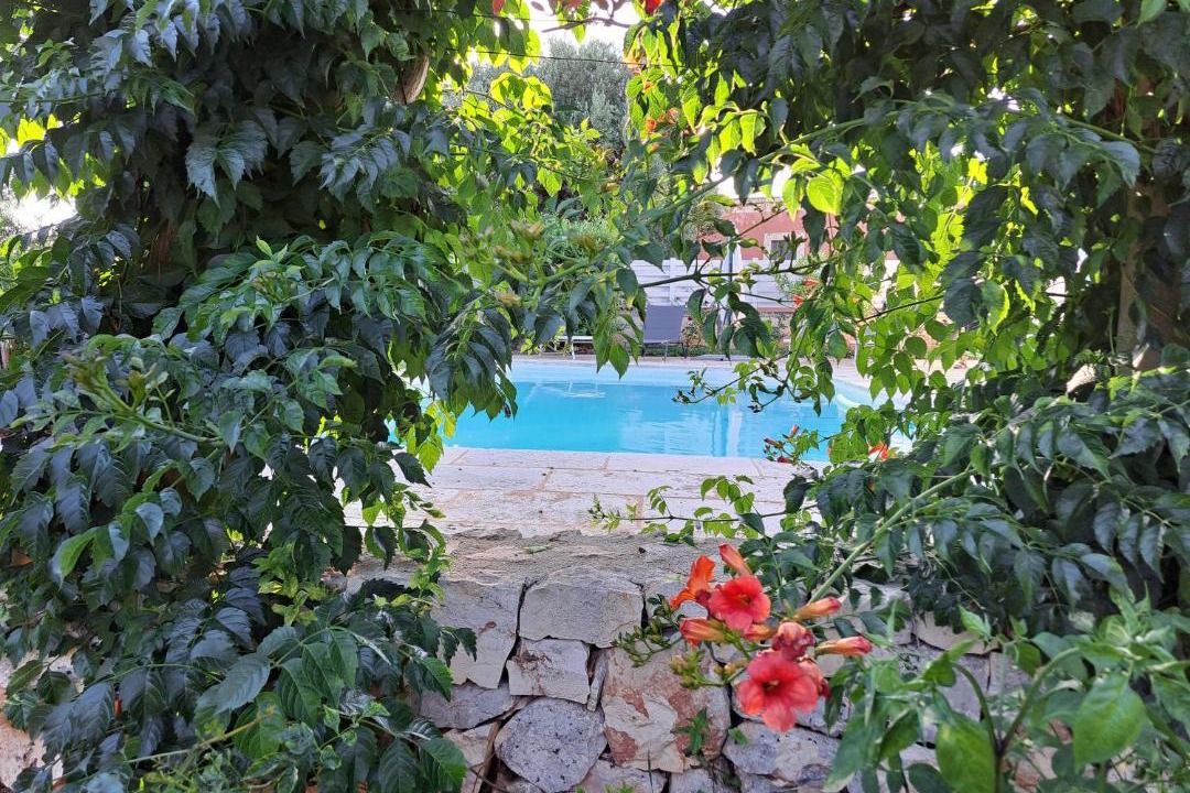 Photo of Others in Monopoli