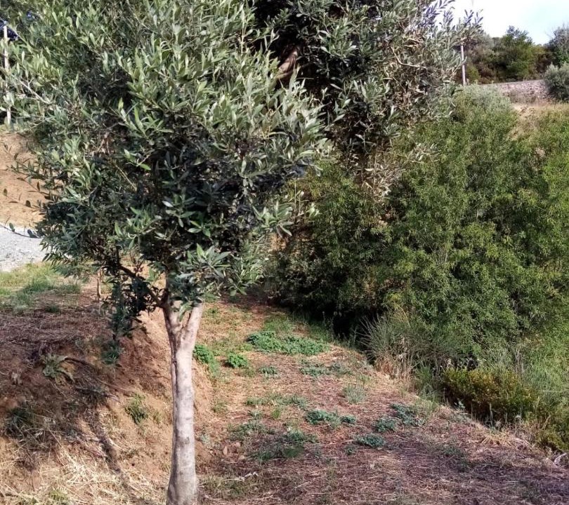 Photo of Others in San Demetrio Corone