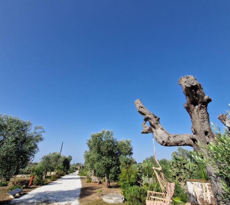 Photo of Others in San Cesario di Lecce