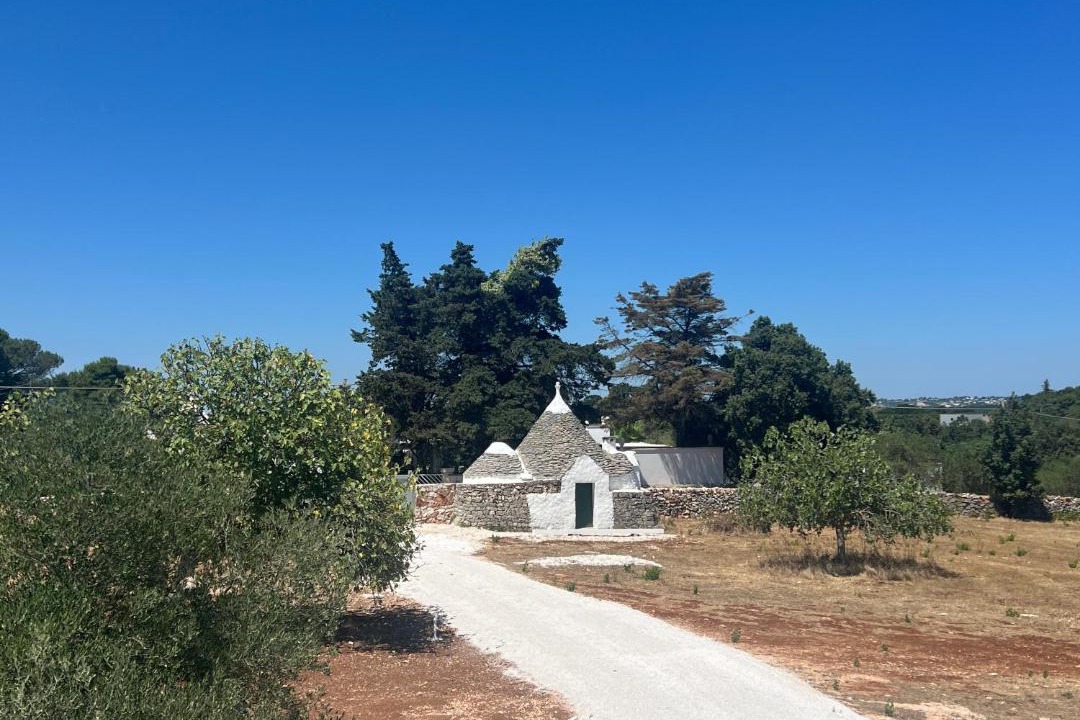Photo of Others in Martina Franca