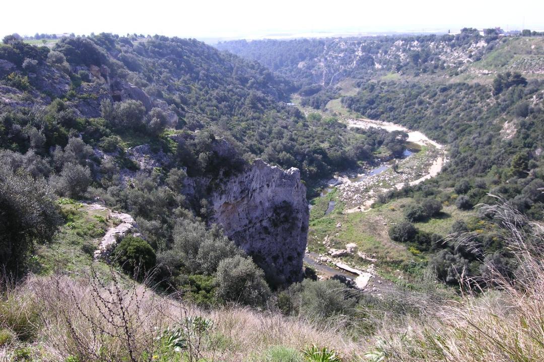 Photo of Others in Palagianello