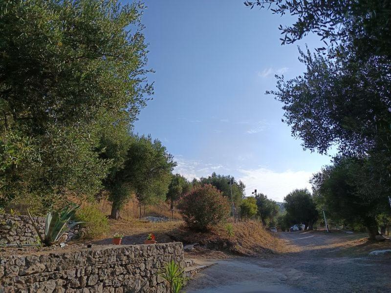 Photo of Others in Lentiscosa