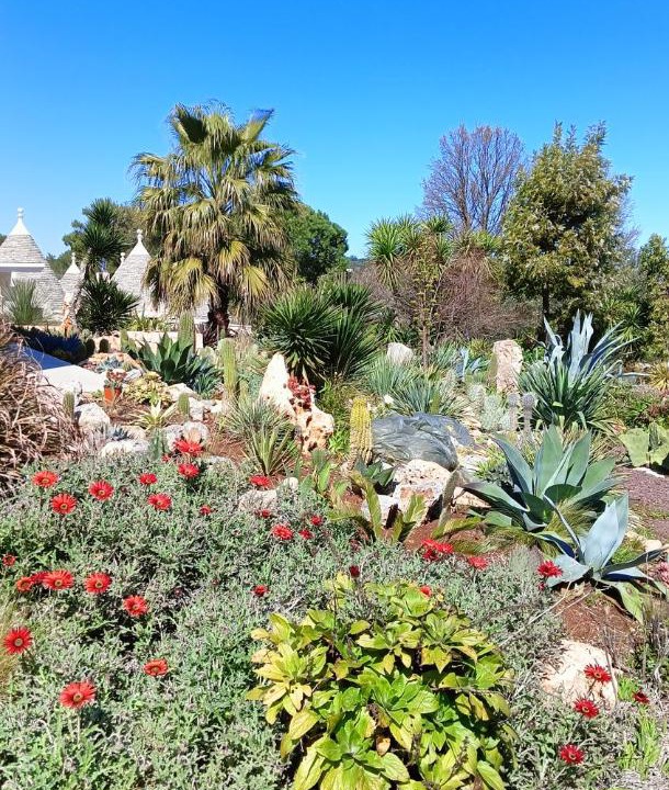Photo of Others in Ostuni