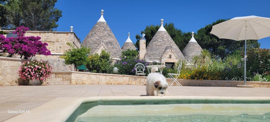 Photo of Others in Ostuni