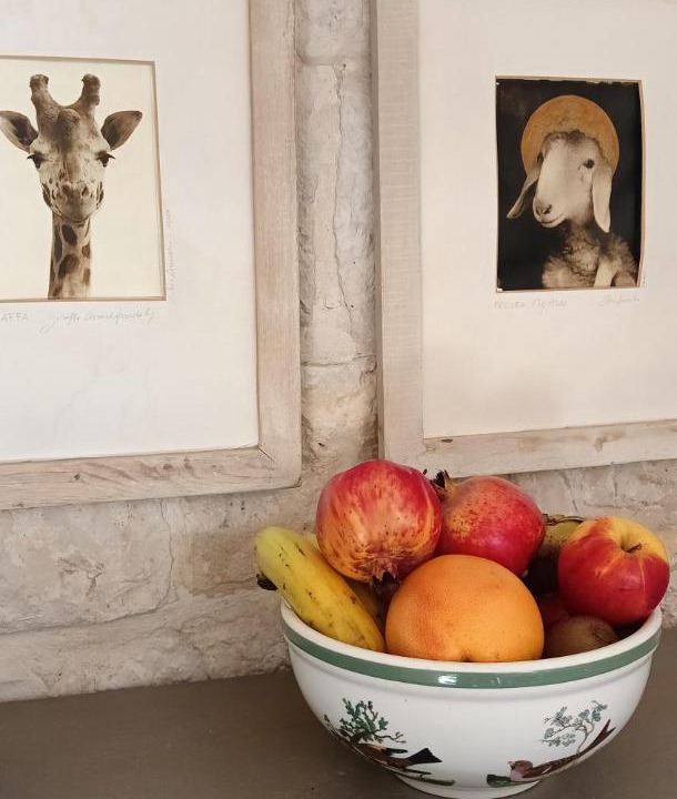 Photo of Others in Ostuni