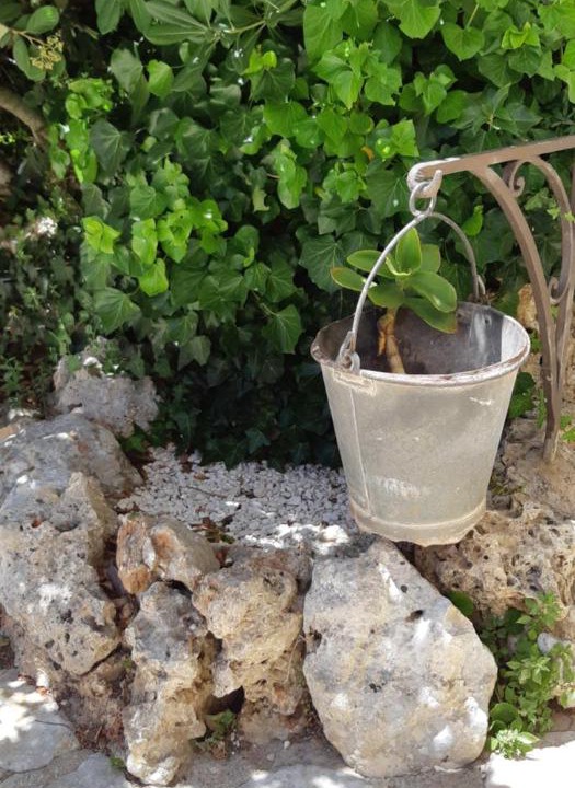 Photo of Others in Cisternino