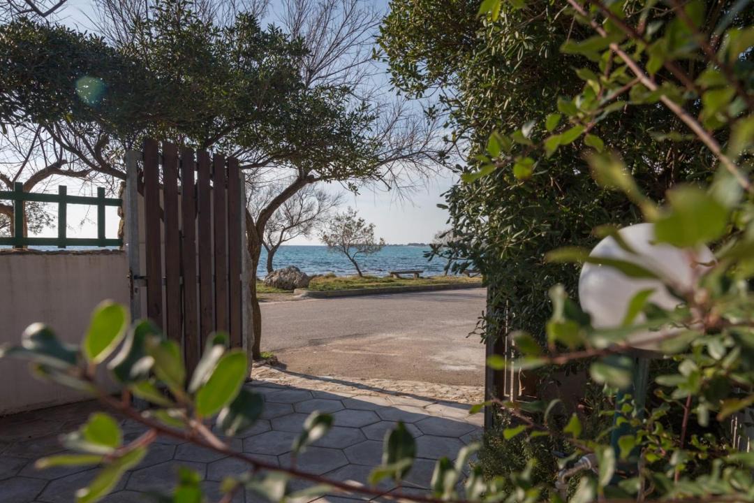 Photo of Others in Punta Prosciutto