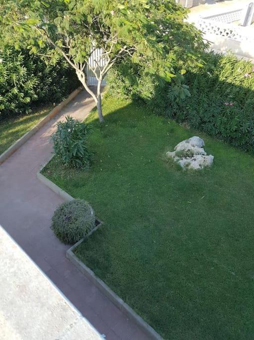 Photo of Others in Torre Colimena