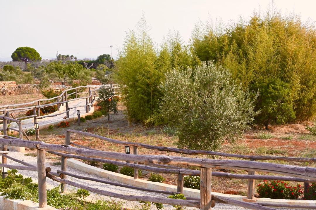 Photo of Others in Marina di Pescoluse