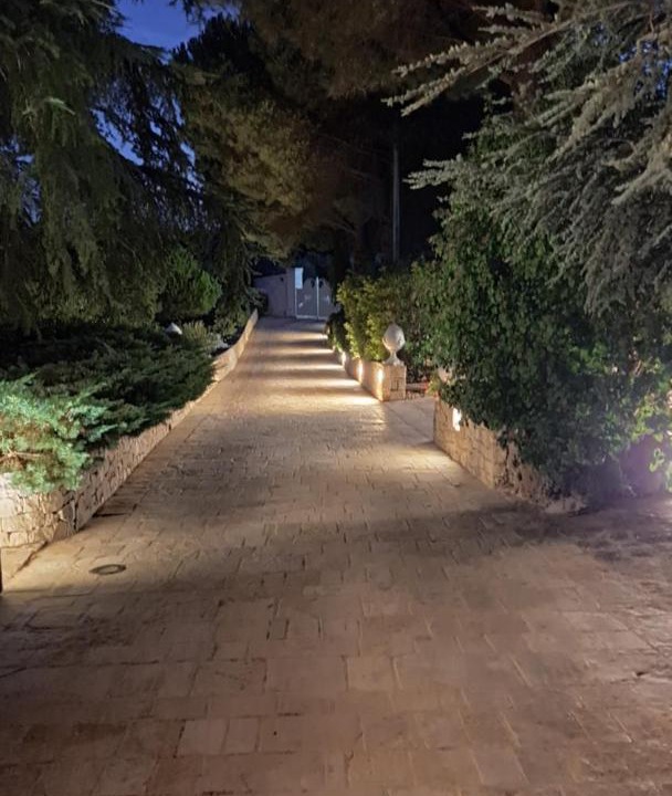 Photo of Others in Cisternino