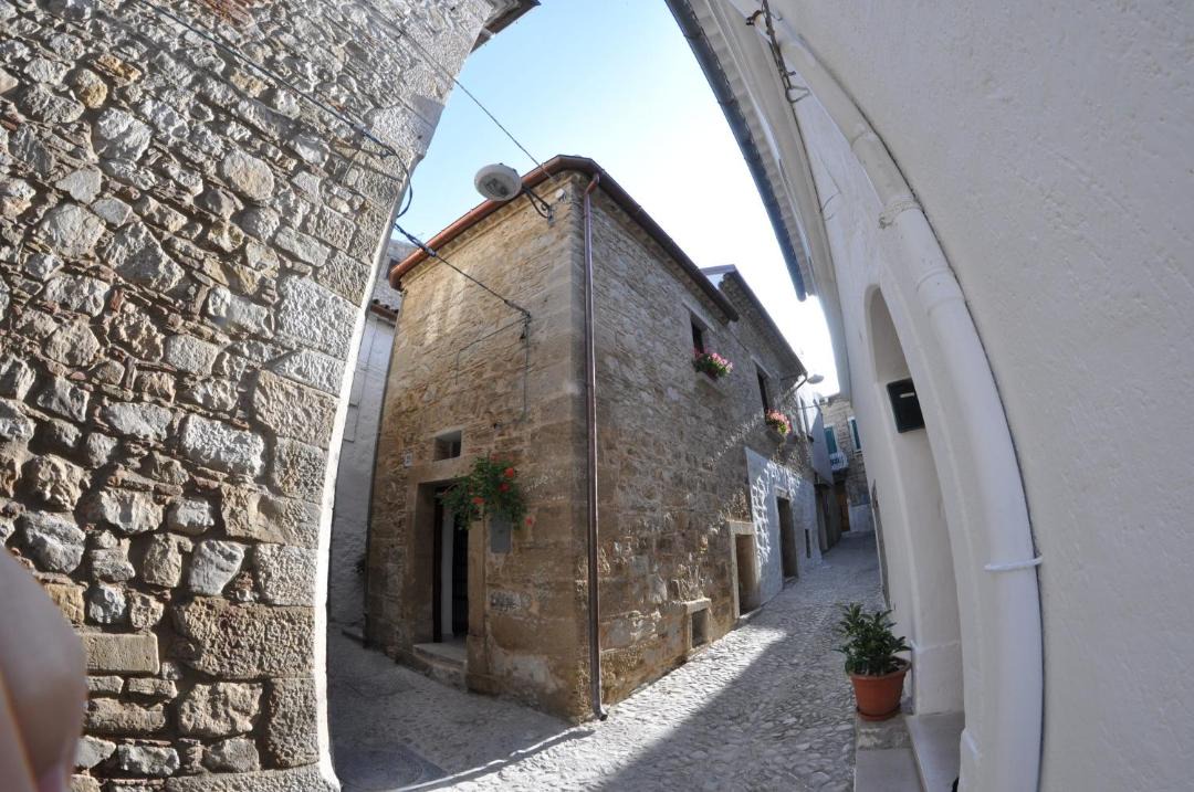 Photo of Others in Bovino